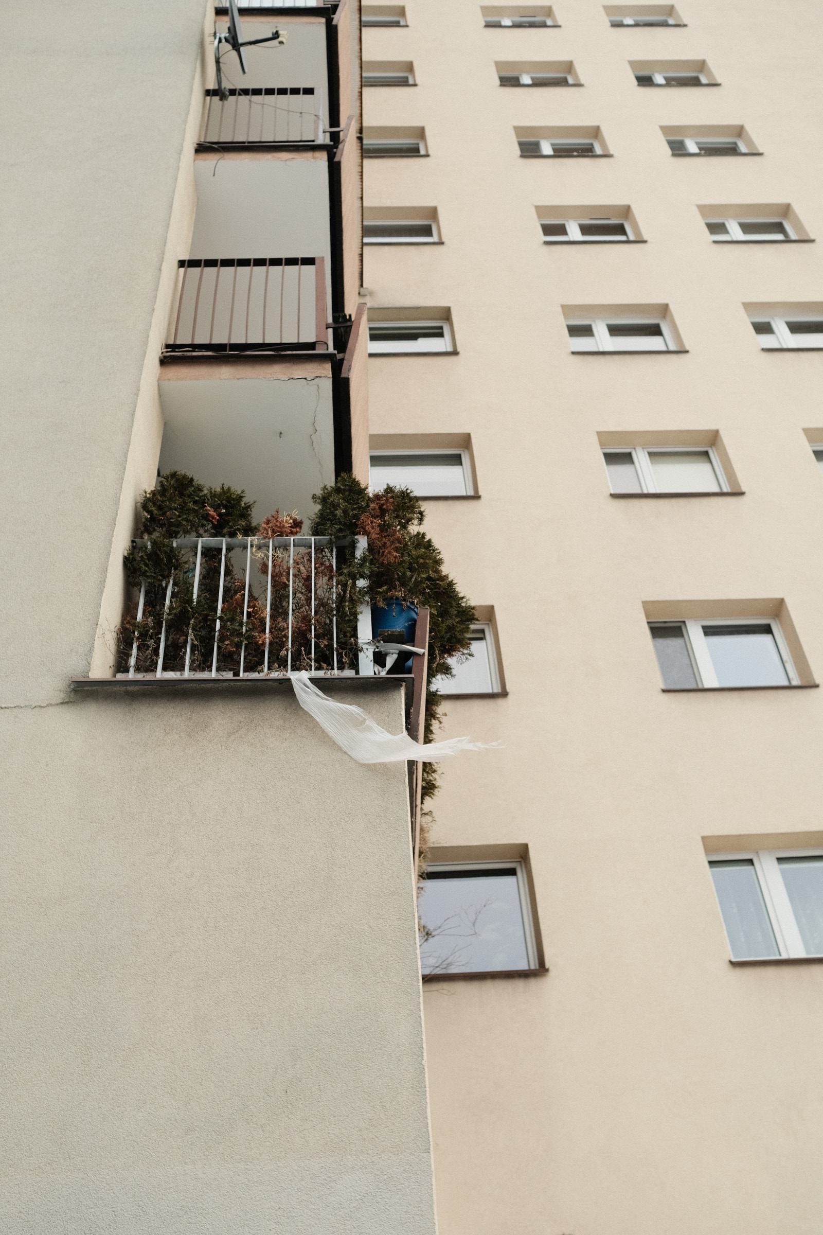 A multi-story residential building with several windows and a small balcony decorated with potted plants.