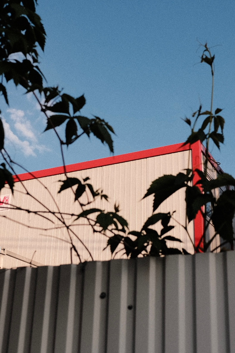 A red-roofed building is partially visible behind a fence with leafy branches in the foreground.
