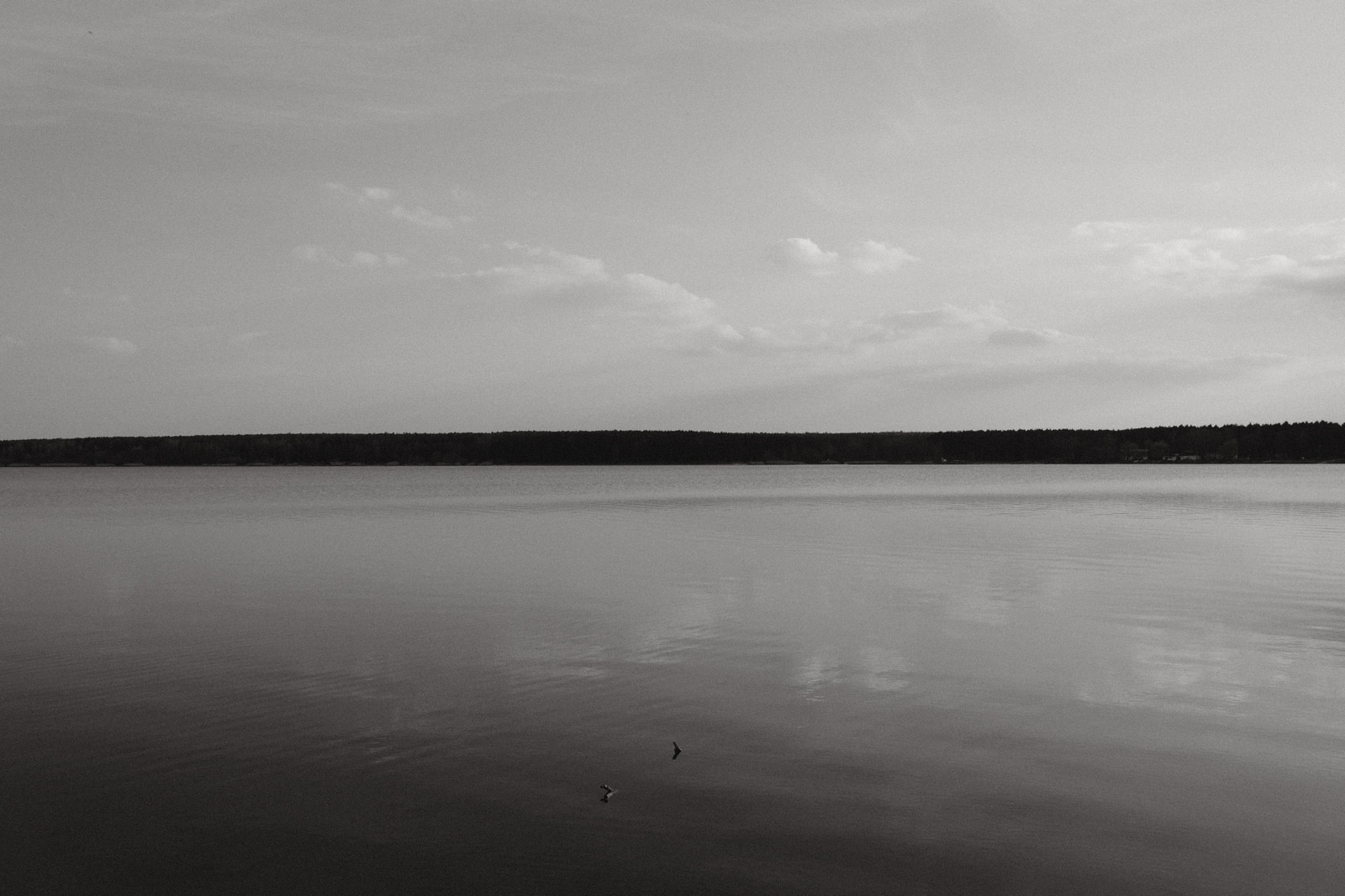 A calm lake reflects a cloudy sky, with a distant shoreline visible across the water.
